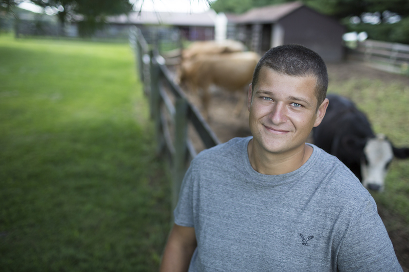 man with cows
